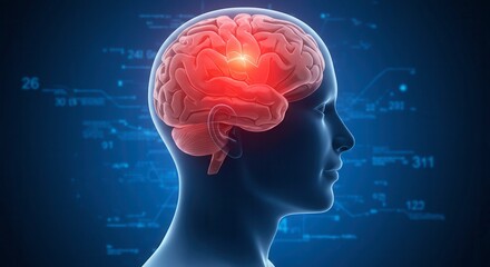 Obraz premium x-default Human Brain Scan Highlighted