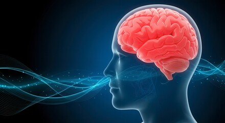 x-default Human Brain Power Concept