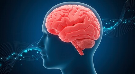 Obraz premium x-default Human Brain Illustration with Digital Network