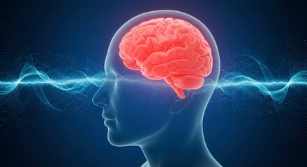 x-default Human Brain Concept Illustration