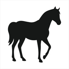 Majestic silhouette of a horse in profile striding forward gracefully