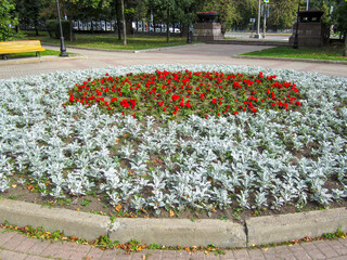 A flowerbed with blooming flowers on an alley in the park.