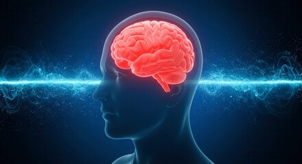 Obraz premium x-default Brain Scan Medical Visualization