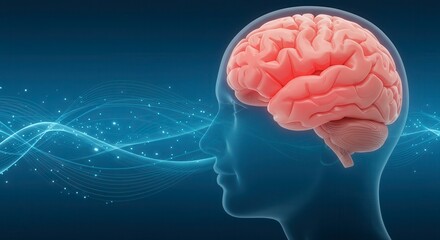 x-default Brain Scan Illustration