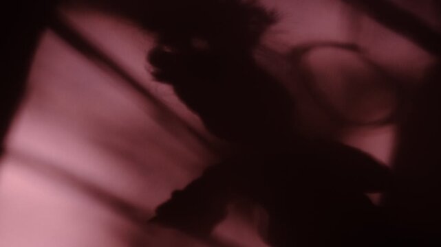 Shadow of Creepy doll, shaggy hair,  grunge, noise, soft blurred and cinematic. Horror. Mystery silhouette of scarecrow. Spooky