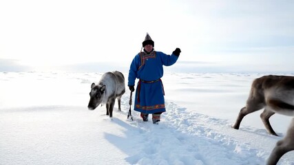 Yamal nenets man walking with three reindeer across a vast snow-covered tundra, embodying nomadic indigenous lifestyle, resilience and traditional arctic survival in siberia