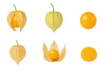 Groundcherry set with golden berries, papery husks, whole fruits and slices, ideal for botanical illustration, food design and clipart.
