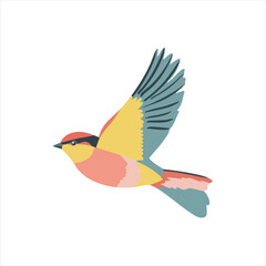 Colorful bird in flight