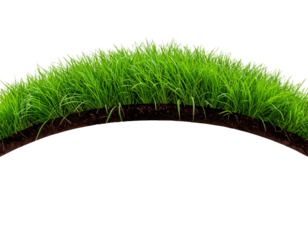 3D curved strip of vibrant green grass forming a natural arc, detailed grassy texture