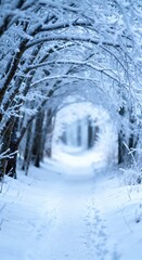 Snow-covered forest path surrounded by frosted trees creating a serene winter atmosphere, inviting exploration through the tranquil landscape with soft light filtering through branches