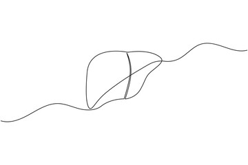 Liver anatomy continuous single line drawing. human organ concept isolate outline vector illustration