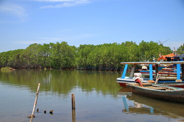 Fototapeta premium Fishing boat sits calmly on the still river next to lush green mangrove trees under a clear blue sky in a peaceful tropical landscape.