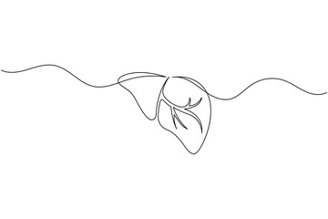 Liver anatomy continuous single line drawing. human organ concept isolate outline vector illustration