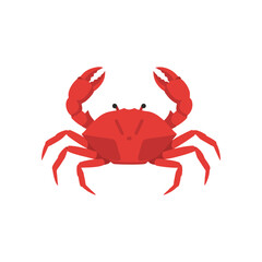 crab isolated on white background