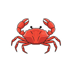 red crab on white background