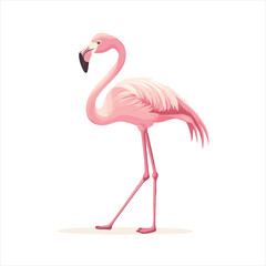vector Pink flamingo, side view, elegant, graceful, detailed illustration