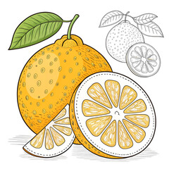 vector of ugli illustration coloring page for kids