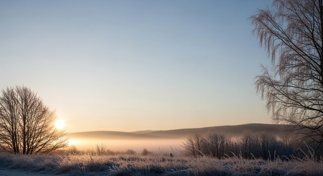 Scenic landscape with trees, fog, and sunrise on a cold winter morning