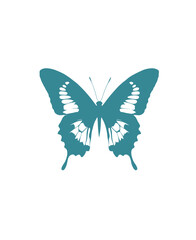 A symmetrical silhouette of a teal butterfly, with white accents and intricate wing patterns, on a white background