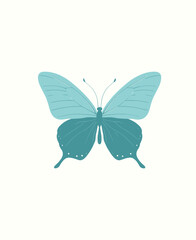 A teal illustration of a butterfly with detailed wing patterns on a pale off-white background