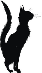 Simple black silhouette of a cat, standing, tail curved, with a white background and whiskers
