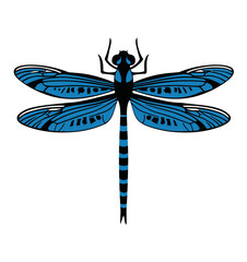 A stylized illustration of a dragonfly, featuring blue wings outlined with black, and a striped abdomen
