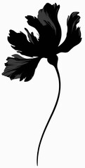 Black silhouette art features a stylized flower with curved stem