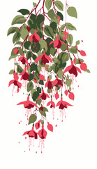 A vibrant floral illustration shows a cascade of deep pink blossoms and green leaves against white