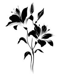 Black and white artistic illustration, depicting two flowers in full bloom, and various leaves