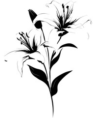 Elegant lilies in black and white, bold line art, floral arrangement, minimal design