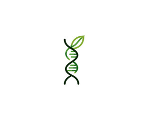 Green DNA helix intertwined with a leaf on a white background, representing nature's genetic code