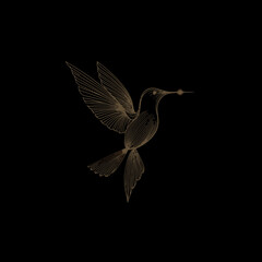 A detailed sketch shows a hummingbird in flight. The creature is drawn in brown against a black background