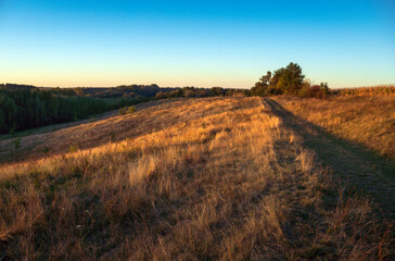 Fototapeta premium A serene view of a golden grassland with a winding path leading through the landscape. The sun sets in the background, casting warm light on the fields. Trees dot the horizon