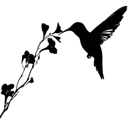 A silhouette of a hummingbird hovering near flowers, reaching its beak towards the blooms