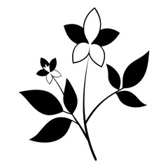  nightshade silverleaf blue line art vector illustration on white background