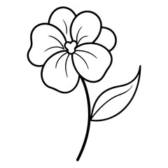 nemesia barbata flower line art vector illustration isolated