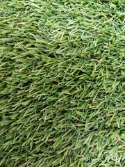 Close-up of green artificial grass surface showing dense plastic blades and natural debris,...