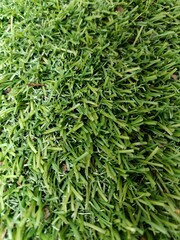 Close-up of green artificial grass surface showing dense plastic blades and natural debris, creating a textured background ideal for design, sports field details, or eco-friendly concepts.