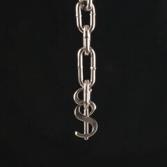 Chain with dollar sign