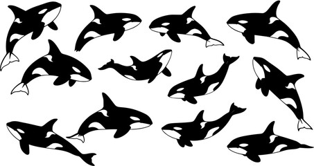 Black and white orca (killer whale) illustrations depicting various swimming positions, forming a dynamic marine animal pattern on a white background.