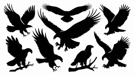 Obraz premium Collection of ten dynamic eagle silhouettes vector graphics scalable illustrations silhouette white background