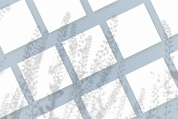 Natural light casts shadows from wildflowers on several sheets of white paper lying on a blue background. Mockup