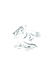 Elegant line art illustration of a pelican with its beak open, possibly catching fish, on a white background, showcasing its unique features.