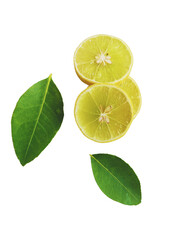 Yellow lemon slices falling with green leaves isolated on transparent background