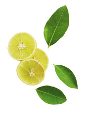 Yellow lemon slices falling with green leaves isolated on transparent background