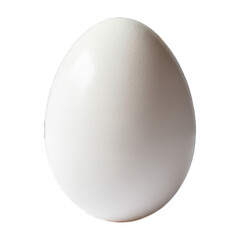 Single, whole, white egg, centered, smooth surface