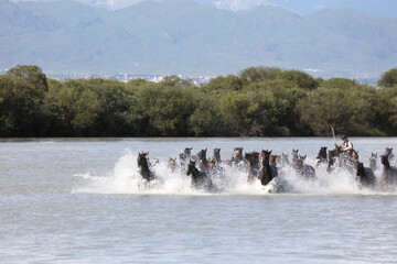 niagara falls in winter