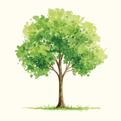 Fototapeta premium Watercolor Green Tree Illustration