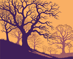 winter landscape with trees