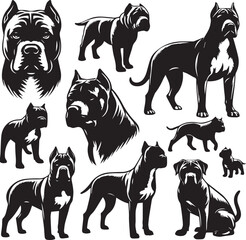 Pitbull Dog Silhouette Vector Set Black and White Pitbull Illustrations Canine Pet Graphics